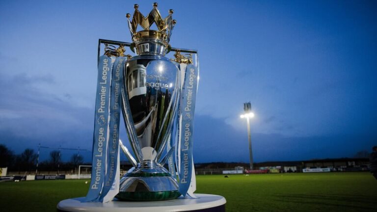 Premier league trophy
